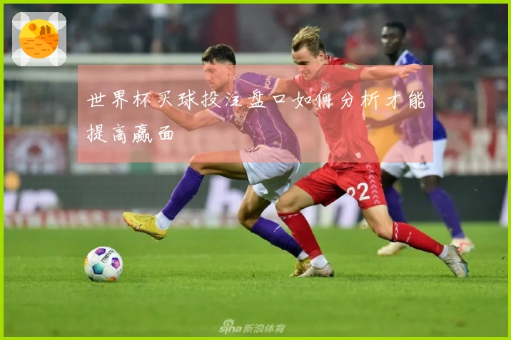 世界杯买球投注盘口如何分析才能提高赢面