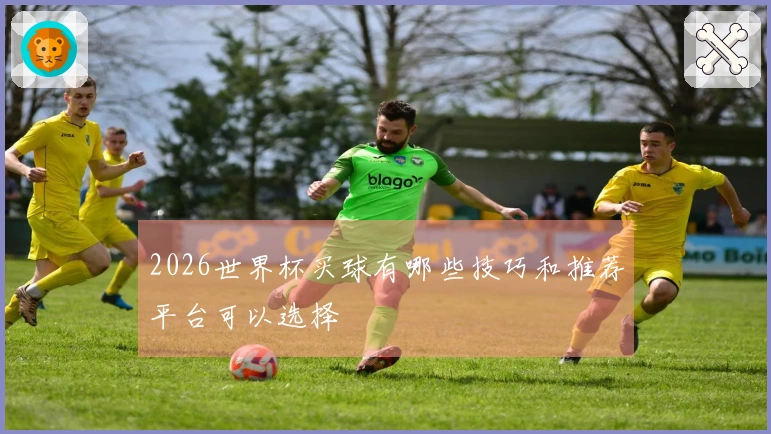 2026世界杯买球有哪些技巧和推荐平台可以选择