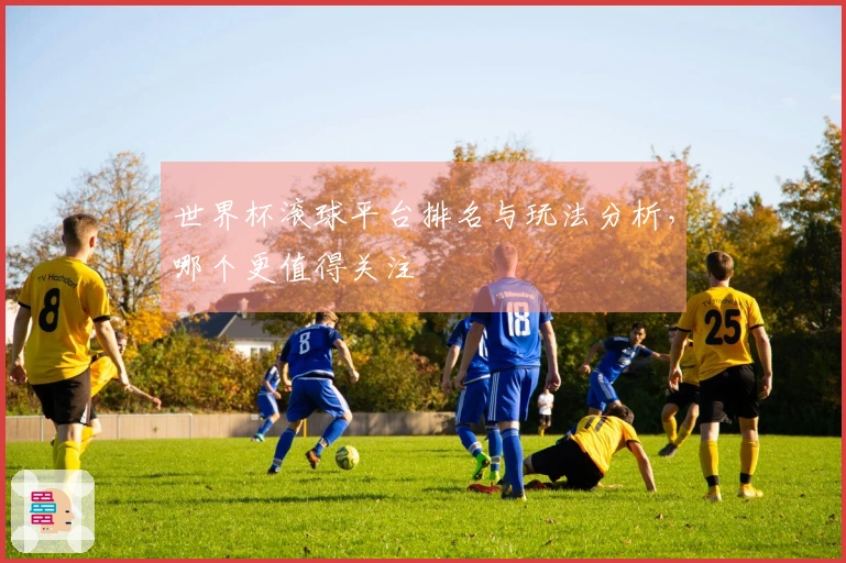 世界杯滚球平台排名与玩法分析，哪个更值得关注