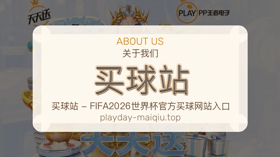 关于 买球站 团队与服务